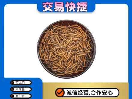 东方高价回收散虫草